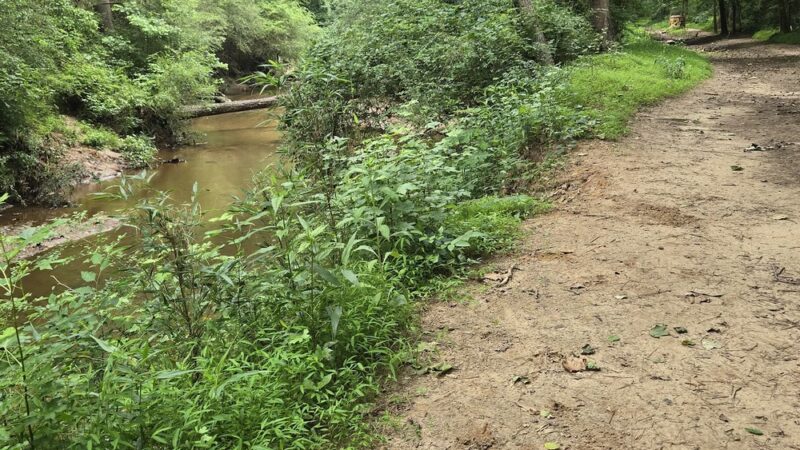 Fullers Park - Marietta, GA