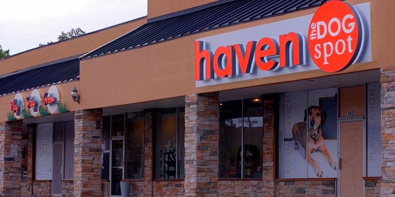 Haven, The Dog Spot - Marietta, GA