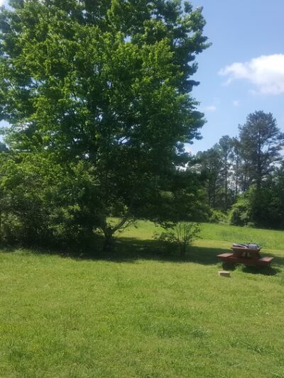 McFarlane Nature Park - Marietta, GA