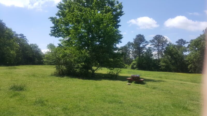 McFarlane Nature Park - Marietta, GA