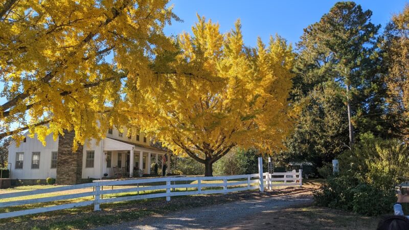 McFarlane Nature Park - Marietta, GA