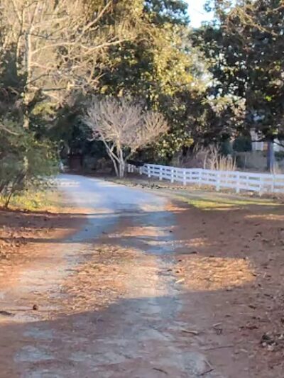 McFarlane Nature Park - Marietta, GA