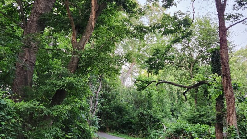 Chestnut St. Park - Marietta, PA
