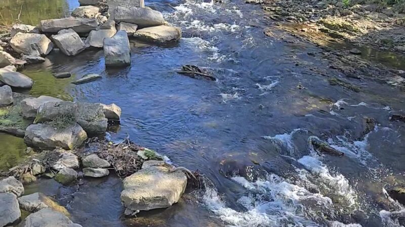 Northwest River Trail - Marietta, PA