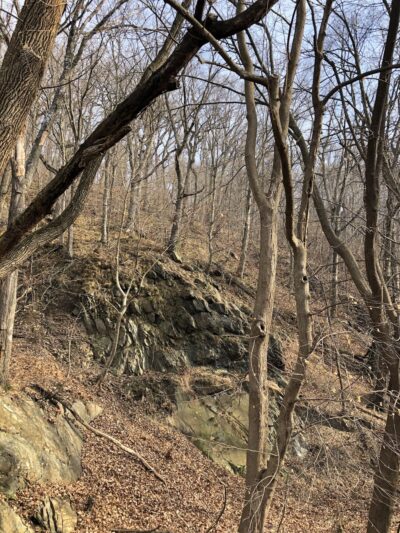 Northwest River Trail - Marietta, PA