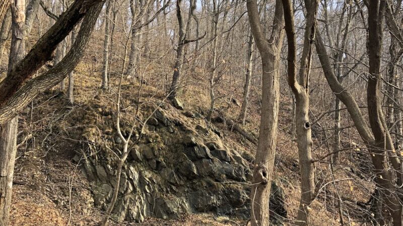 Northwest River Trail - Marietta, PA