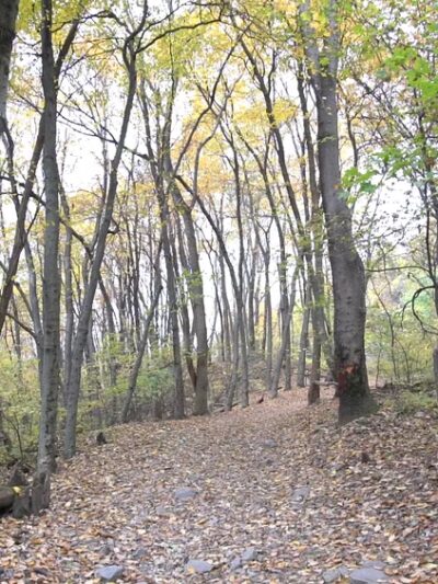 Northwest River Trail Marietta - Marietta, PA