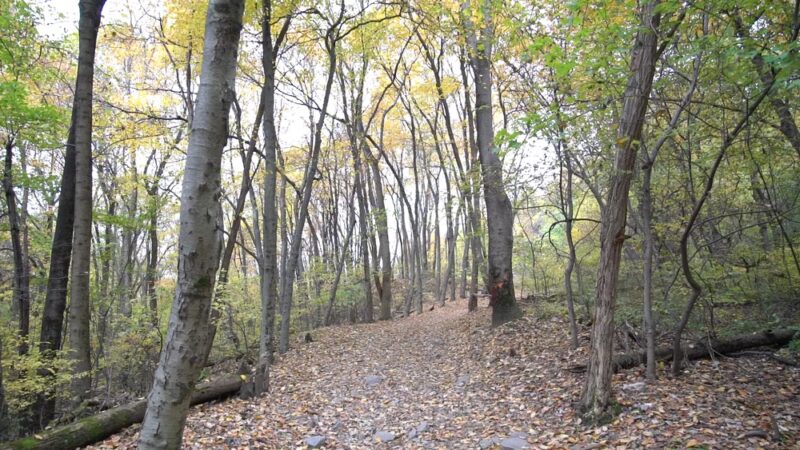 Northwest River Trail Marietta - Marietta, PA