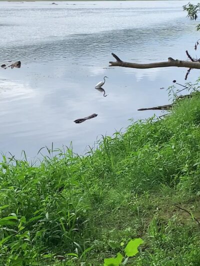 Riverfront Park - Marietta, PA