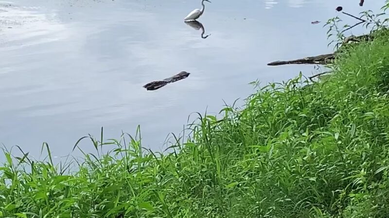 Riverfront Park - Marietta, PA