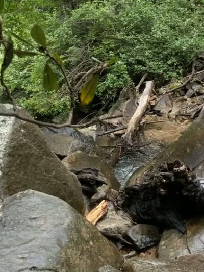 Falls Creek Waterfalls - Marietta, SC