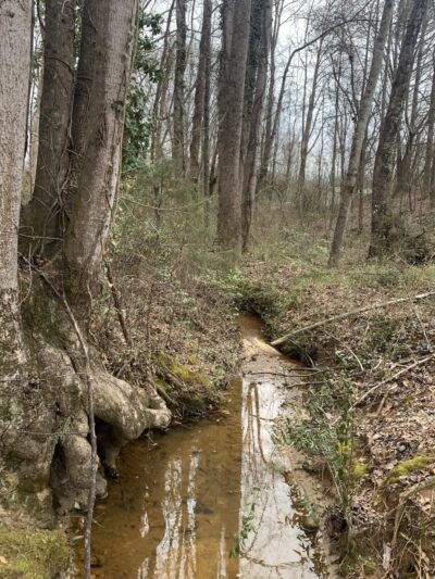 Jimi Turner Park - Marietta, SC