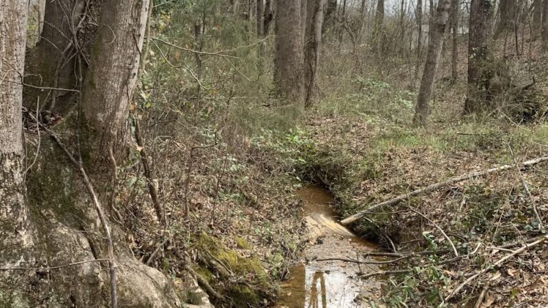 Jimi Turner Park - Marietta, SC