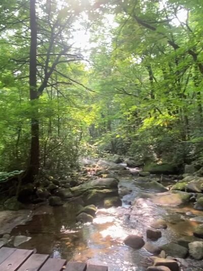 Jones Gap State Park - Marietta, SC