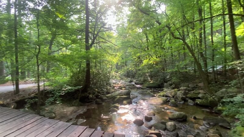 Jones Gap State Park - Marietta, SC