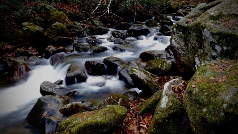 Jones Gap State Park - Marietta, SC