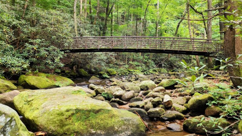 Jones Gap State Park - Marietta, SC