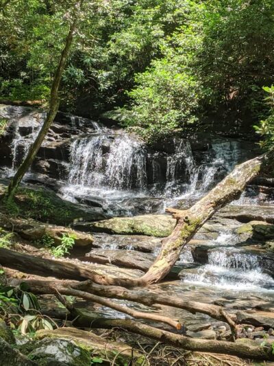Pleasant Ridge County Park - Marietta, SC