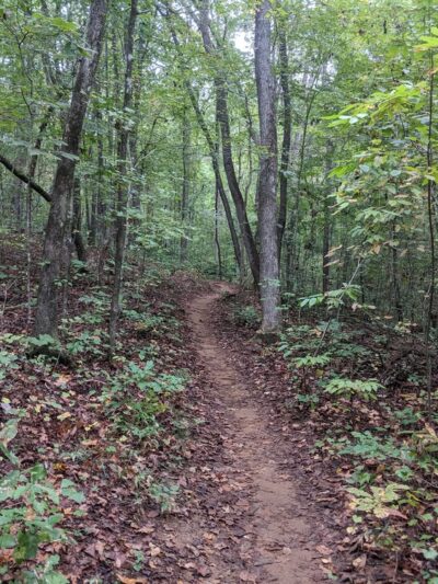 Pleasant Ridge County Park - Marietta, SC