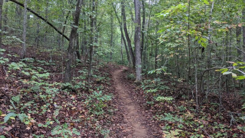 Pleasant Ridge County Park - Marietta, SC