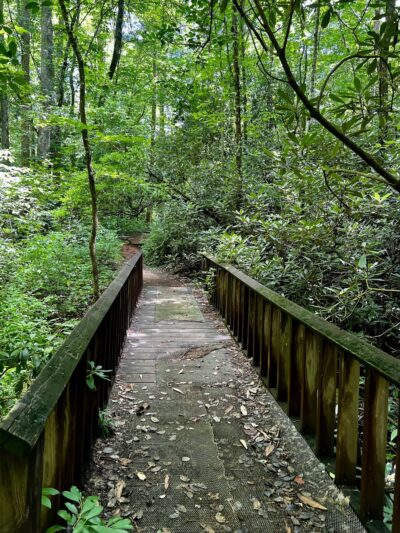 Pleasant Ridge Falls - Marietta, SC
