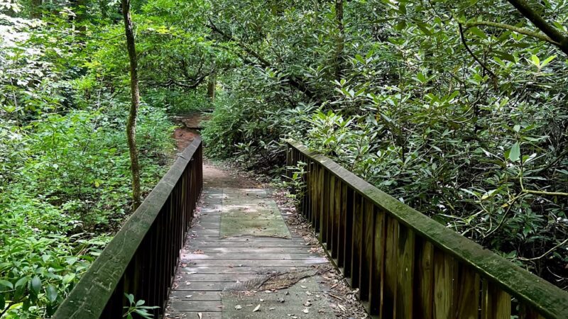Pleasant Ridge Falls - Marietta, SC