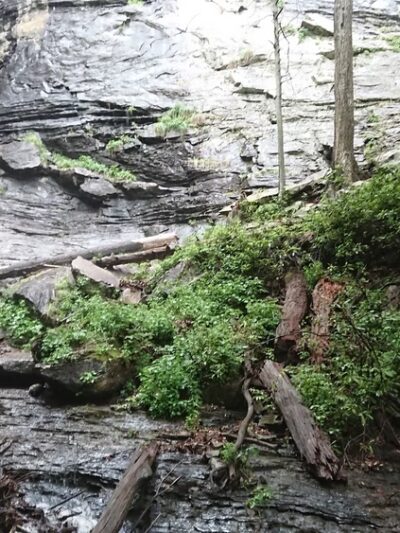 Rainbow Falls - Marietta, SC