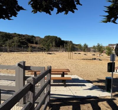 Hilltop Dog Park - Marina, CA