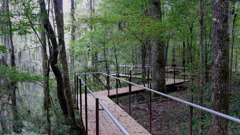 Perry Lakes Park - Marion, AL