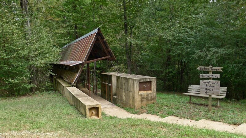 Perry Lakes Park - Marion, AL