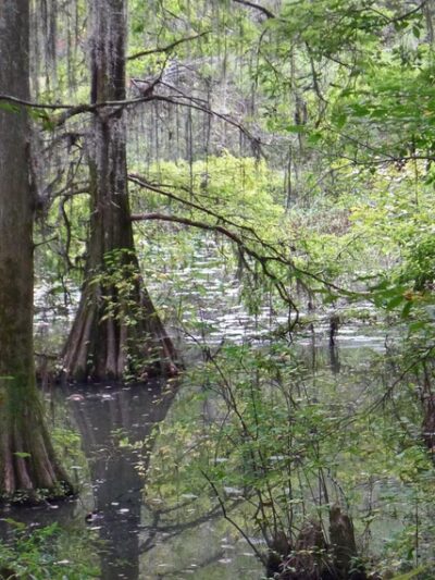Perry Lakes Park - Marion, AL