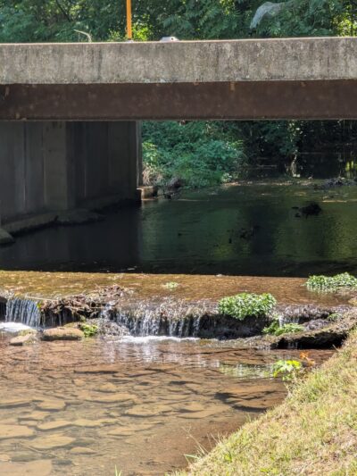 Marionville City Park - Marionville, MO