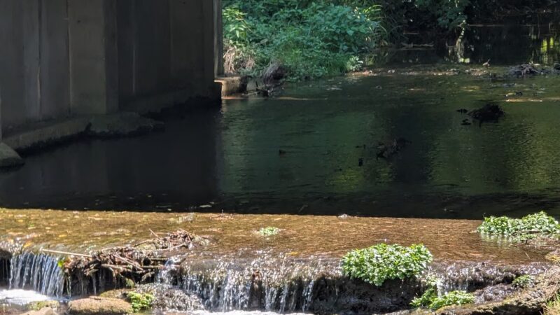 Marionville City Park - Marionville, MO