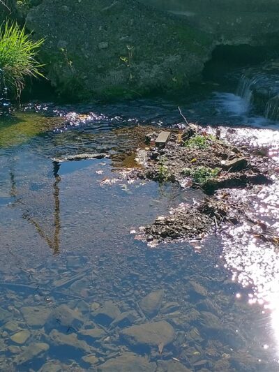 Marionville City Park - Marionville, MO