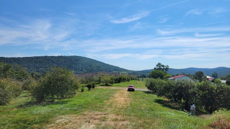 Green Truck Farm - Markham, VA