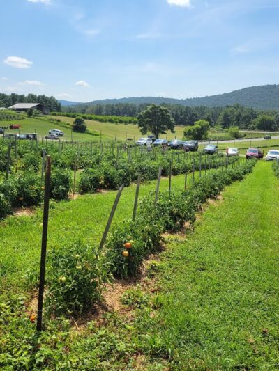 Green Truck Farm - Markham, VA