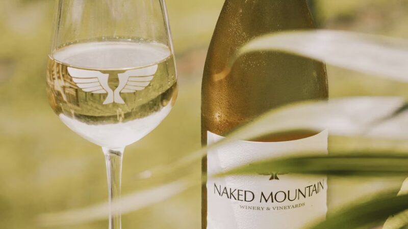 Naked Mountain Winery - Markham, VA