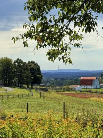 Sky Meadows State Park Visitor Center - Markham, VA