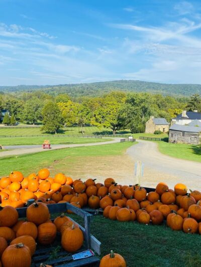Stribling Orchard - Markham, VA