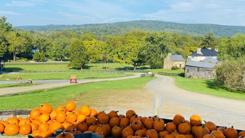 Stribling Orchard - Markham, VA