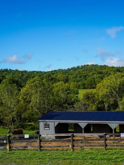 Stribling Orchard - Markham, VA