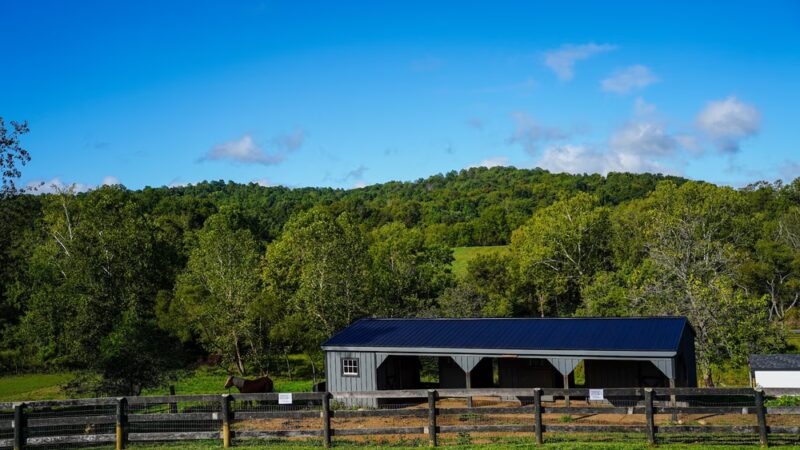 Stribling Orchard - Markham, VA