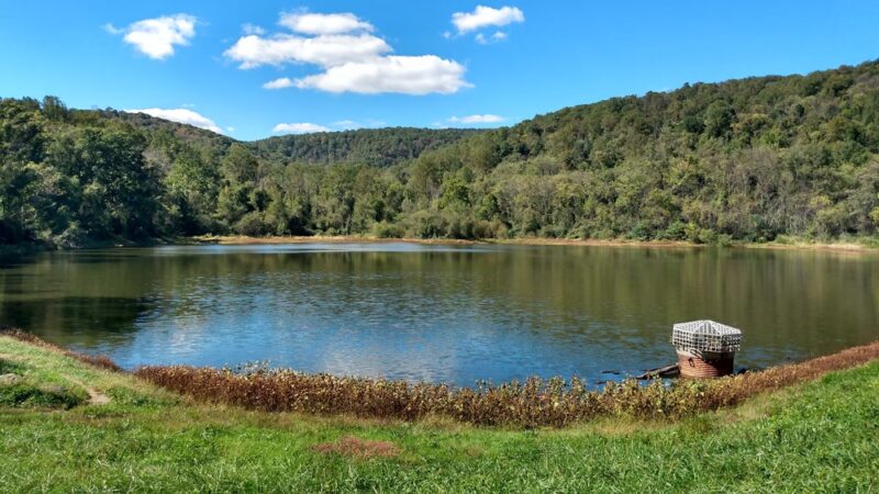 Thompson Lake Parking Area - Markham, VA