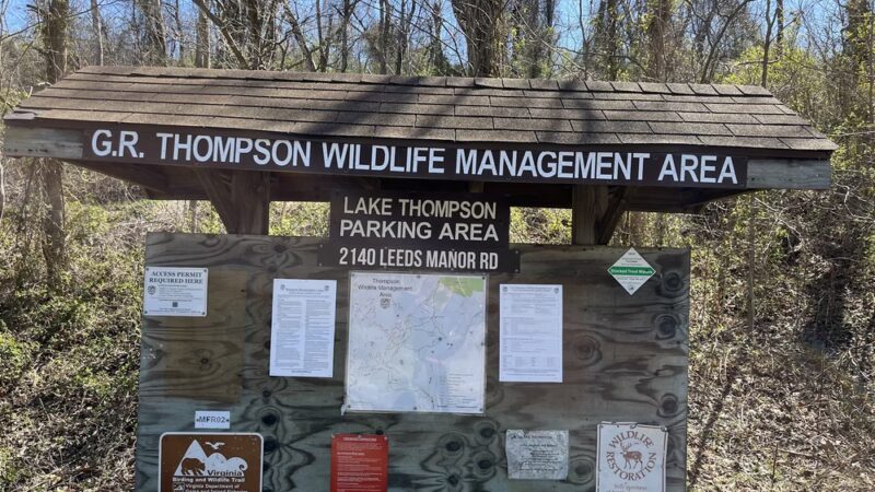 Thompson Lake Parking Area - Markham, VA