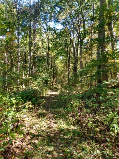 Thompson Lake Parking Area - Markham, VA