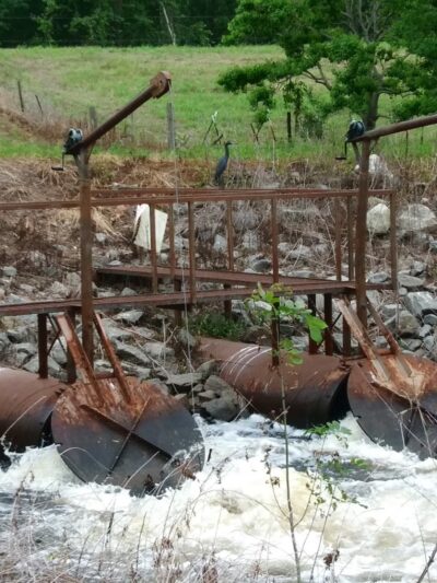 Lake Ophelia National Wildlife Refuge - Marksville, LA