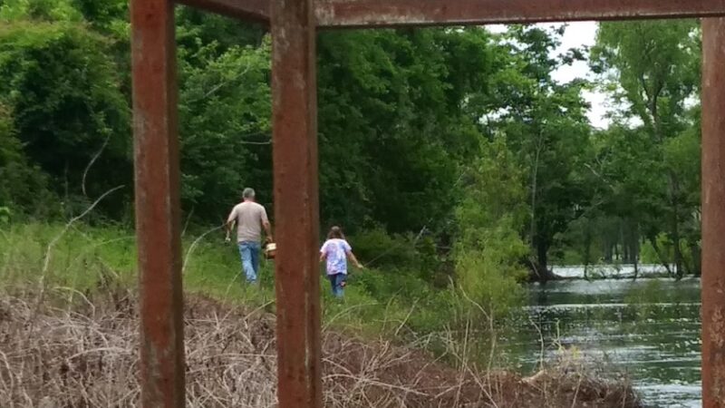 Lake Ophelia National Wildlife Refuge - Marksville, LA