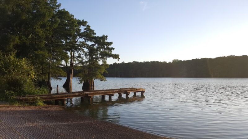 Spring Bayou State Wildlife Management Area - Marksville, LA