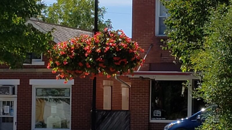 City Park - Marlinton, WV
