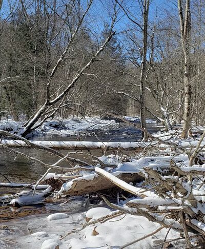 Day Run Campground - Marlinton, WV